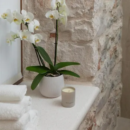 Bed & Breakfast Luxury Ma De Dominis (adults Only) Split